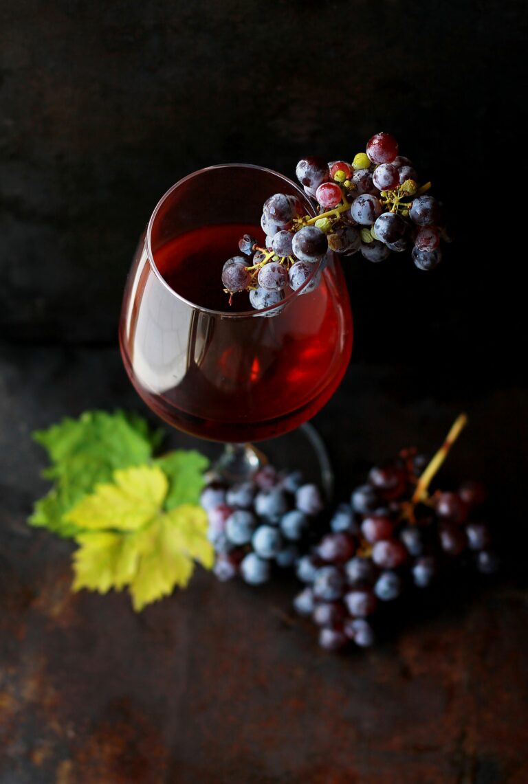 Allt om vin – Druvor och vinländer